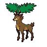 Sawsbuck summer