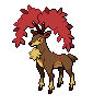 Sawsbuck autumn