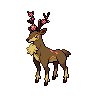 Sawsbuck spring
